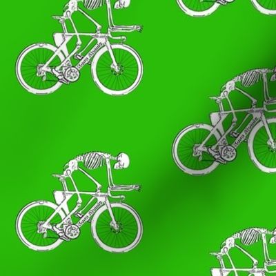 bicycle skeleton green