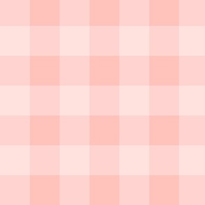 In The Depths Gingham - Candy Pink - 10.5x10.5 Inch