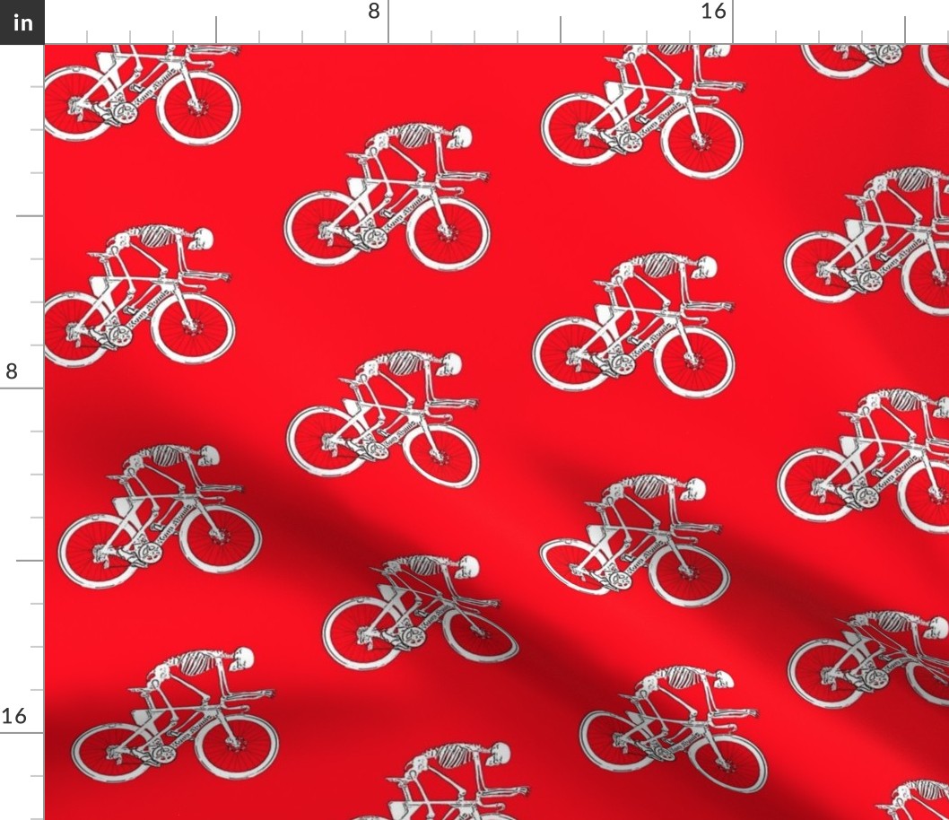 bicycle skeleton red
