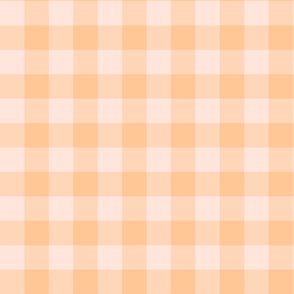 In The Depths Gingham - Peach - 6x6 Inch