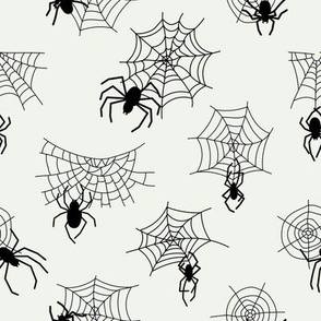 Black spider and  web 18