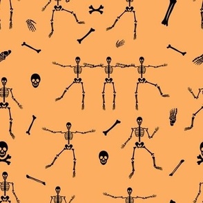 Human skeletons 20