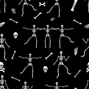 Human skeletons 24