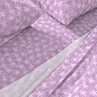 starry_lavender_purple