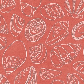 White Shells On Coral, Large Scale, Hand Drawn