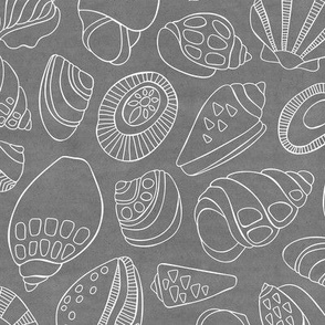 White shells On Grey, Large Scale, Hand Drawn