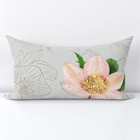 Christmas Rose / snow rose/ helleborus  silver / platinum background - large scale