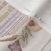 The Model Book of Calligraphy/ Mira Calligraphiae Monumenta Joris Hoefnagel from 16th century soft sepia