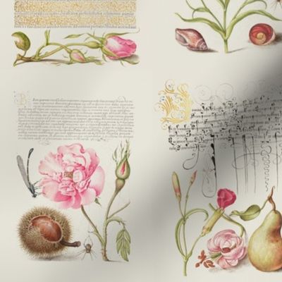The Model Book of Calligraphy/ Mira Calligraphiae Monumenta Joris Hoefnagel pink Tulip - Rose and Carnation from 16th century