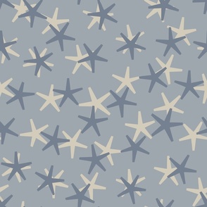 jacks_stars_beige_blue