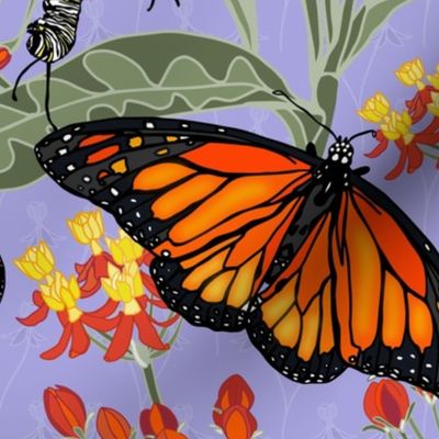 A Butterfly's Poison - Milkweed, Monarch butterflies and caterpillars on Lilac #A6A3DE