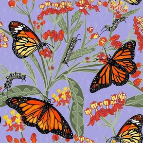 A Butterfly's Poison - Milkweed, Monarch butterflies and caterpillars on Lilac #A6A3DE