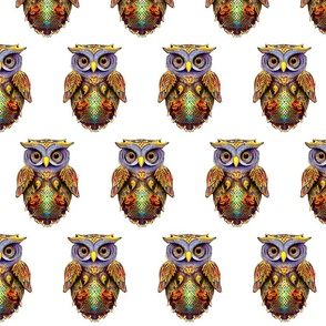 Owl agasint white background