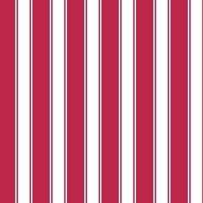 Solid Ticking Stripe - White Viva Magenta