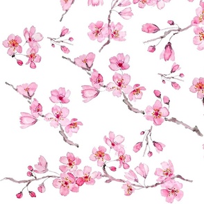 pink cherry blossom watercolor pattern 