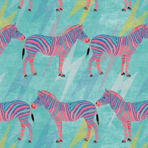 Party Zebra on aqua