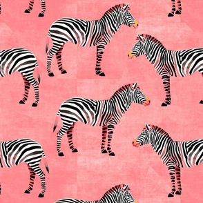 Party Zebra on pink