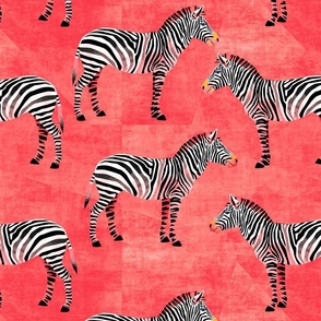 Party Zebra black and white on red