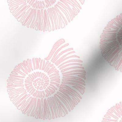 nautilus shell fashion house pink and white - 6" fabric design repeat