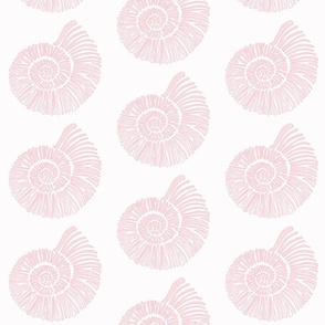 nautilus shell fashion house pink and white - 6" fabric design repeat