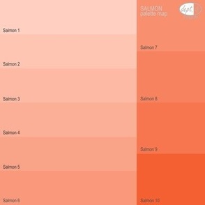 Salmon Color Map: Dept. 6 Design Palette Map