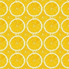 Lemon Crush Citrus Slices