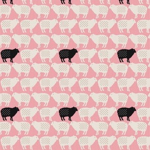 Sweet Sheep (Pink) 