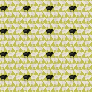 Sweet Sheep (Citron small scale)