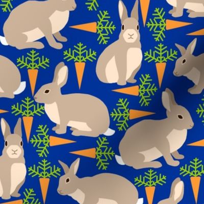 14150269 © rabbits + carrots