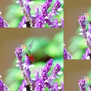 Colorful Green Hummingbird on Purple Flowers ~ 5" Drop Repeat