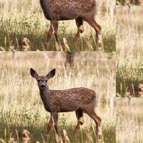 Brown Deer in Grassy Meadow- 6.25" x 5" Drop Repeat