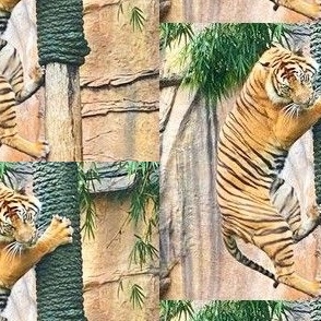 Orange Bengal Tiger Climbing  - 7" Half Drop Repeat