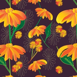 Orange daisies 