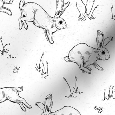 The Bunny Hop in Black and White