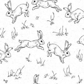 The Bunny Hop in Black and White