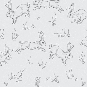The Bunny Hop in Grey
