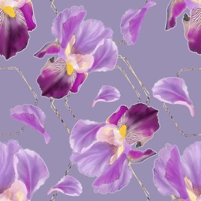 Irises from my garden / Watercolour 