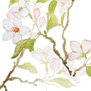 white cherry blossom pattern 