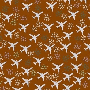 Brown airplanes