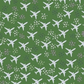 Fern green airplanes