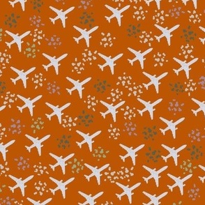 Ginger orange airplanes