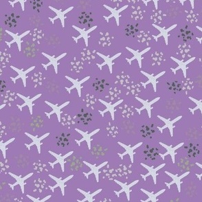 Heather violet airplanes