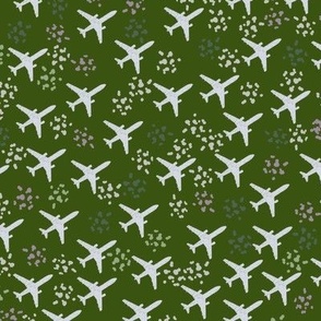 Juniper green airplanes