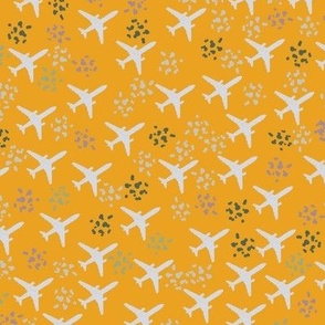 Marigold airplanes