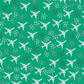 Persian green airplanes