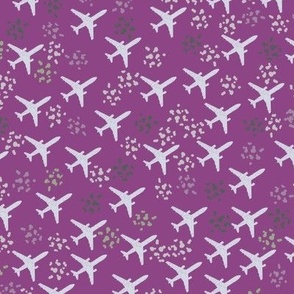 Plum airplanes