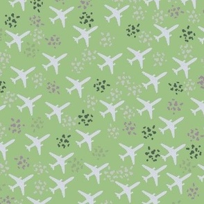 Sage green airplanes