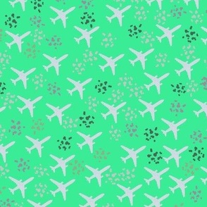 Seafoam green airplanes