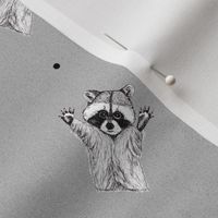 Playful Raccoons -Grey