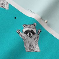Playful Raccoons - Blue